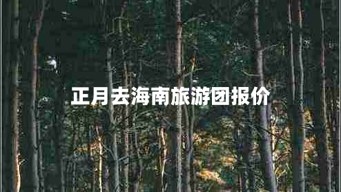 正月去海南旅游團(tuán)報(bào)價(jià) 正月去海南旅游團(tuán)報(bào)價(jià)