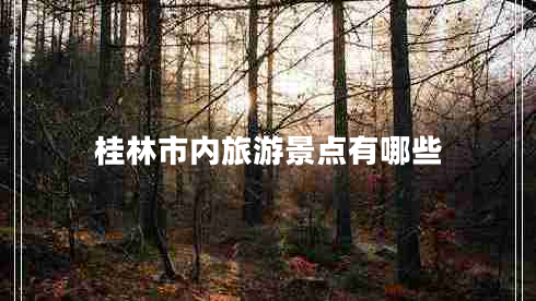 桂林市內(nèi)旅游景點(diǎn)有哪些