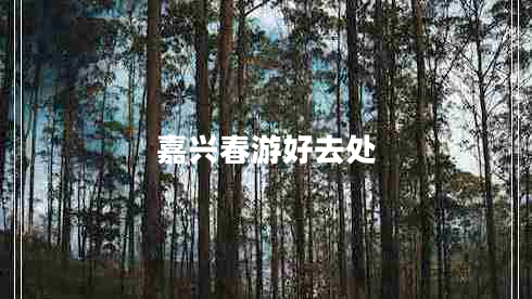 嘉興春游好去處