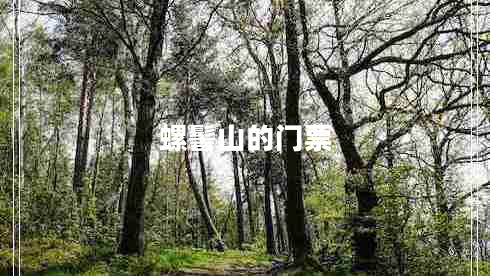 螺髻山的門(mén)票 螺髻山的門(mén)票