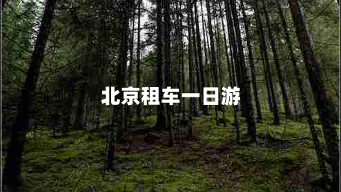 北京租車一日游 北京租車一日游
