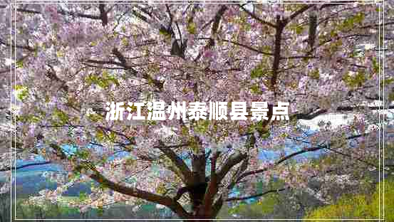 浙江溫州泰順縣景點(diǎn)