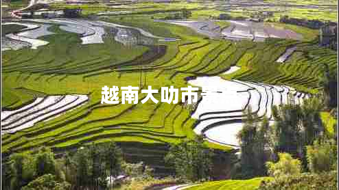 越南大叻市景點(diǎn)