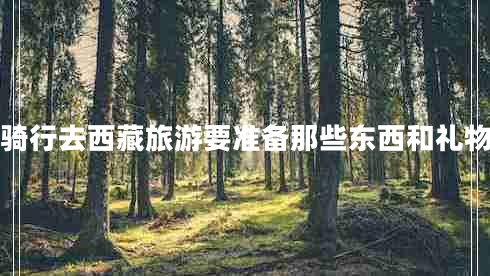 騎行去西藏旅游要準(zhǔn)備那些東西和禮物 騎行去西藏旅游要準(zhǔn)備那些東西和禮物