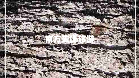 南方去哪旅游 南方去哪旅游