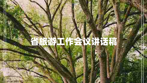 省旅游工作會議講話稿