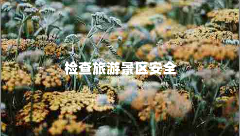 檢查旅游景區(qū)安全