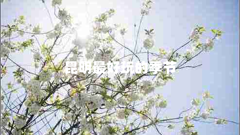 昆明最好玩的季節(jié) 昆明最好玩的季節(jié)