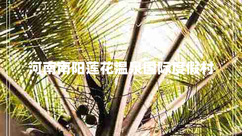 河南南陽(yáng)蓮花溫泉國(guó)際度假村