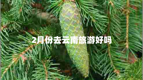 2月份去云南旅游好嗎