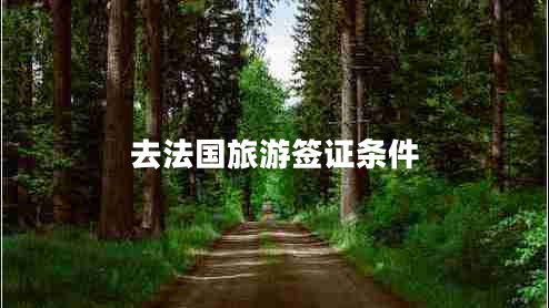 去法國旅游簽證條件 去法國旅游簽證條件