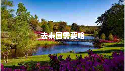 去泰國需要啥 去泰國需要啥