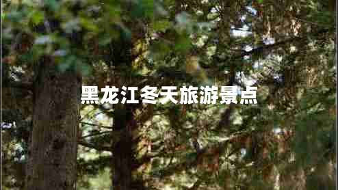 黑龍江冬天旅游景點(diǎn) 黑龍江冬天旅游景點(diǎn)
