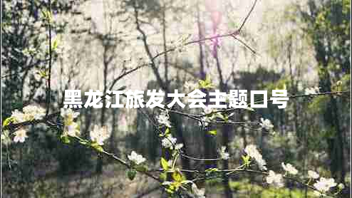 黑龍江旅發(fā)大會主題口號