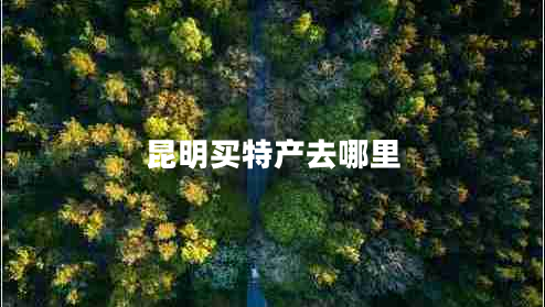 昆明買特產(chǎn)去哪里