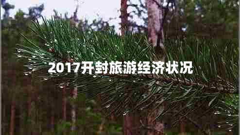 2017開(kāi)封旅游經(jīng)濟(jì)狀況 2017開(kāi)封旅游經(jīng)濟(jì)狀況