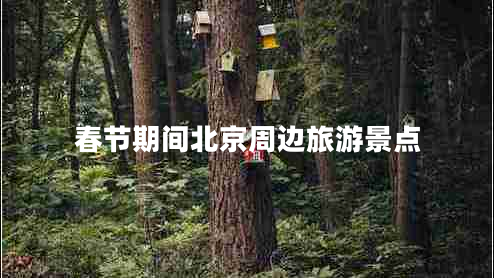 春節(jié)期間北京周邊旅游景點(diǎn)