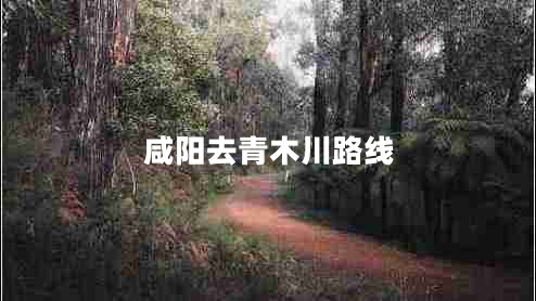 咸陽去青木川路線