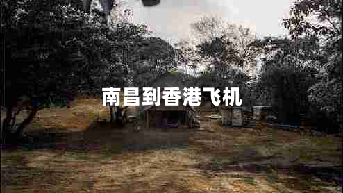 南昌到香港飛機