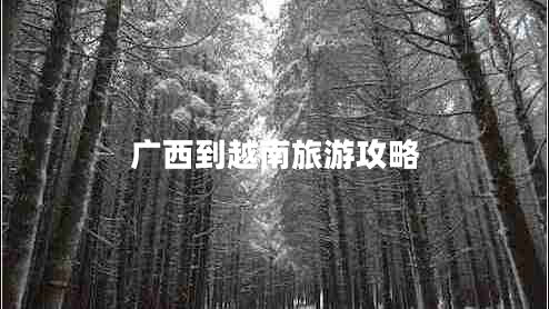 廣西到越南旅游攻略