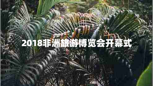 2018非洲旅游博覽會開幕式