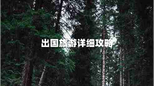 出國(guó)旅游詳細(xì)攻略