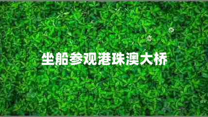 坐船參觀港珠澳大橋 坐船參觀港珠澳大橋