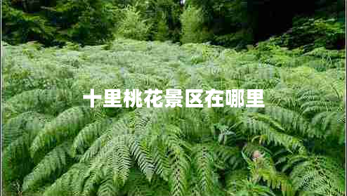 十里桃花景區(qū)在哪里