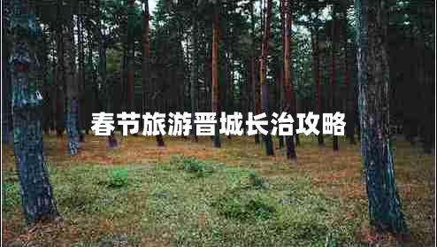 春節(jié)旅游晉城長(zhǎng)治攻略