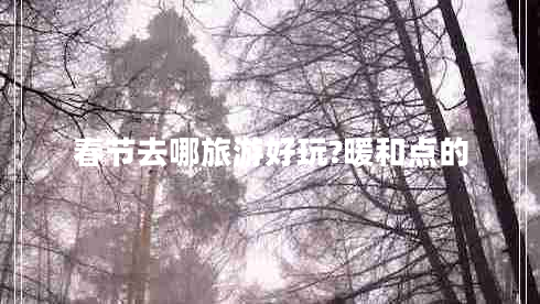 春節(jié)去哪旅游好玩?暖和點(diǎn)的
