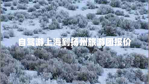 自駕游上海到揚州旅游團報價