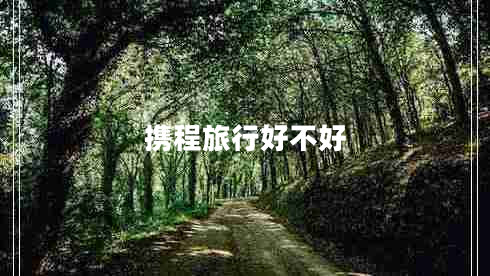 攜程旅行好不好 攜程旅行好不好