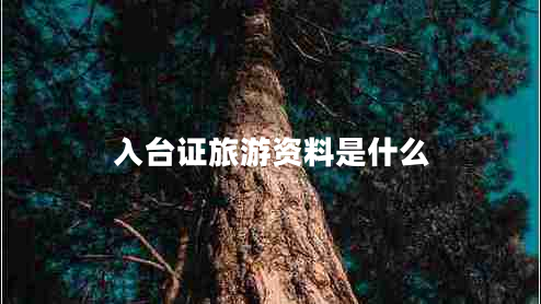 入臺證旅游資料是什么