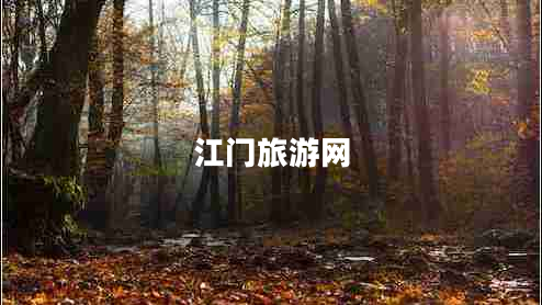 江門旅游網(wǎng) 江門旅游網(wǎng)