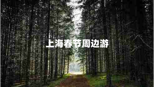 上海春節(jié)周邊游 上海春節(jié)周邊游