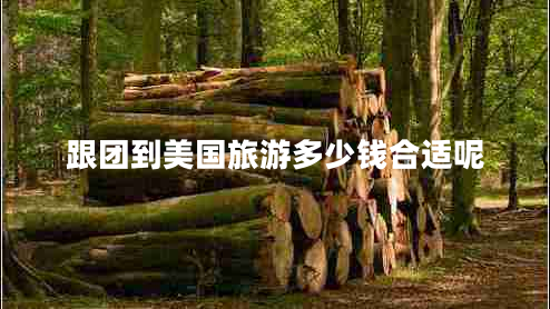 跟團到美國旅游多少錢合適呢
