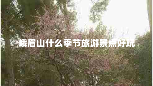 峨眉山什么季節(jié)旅游景點(diǎn)好玩 峨眉山什么季節(jié)旅游景點(diǎn)好玩
