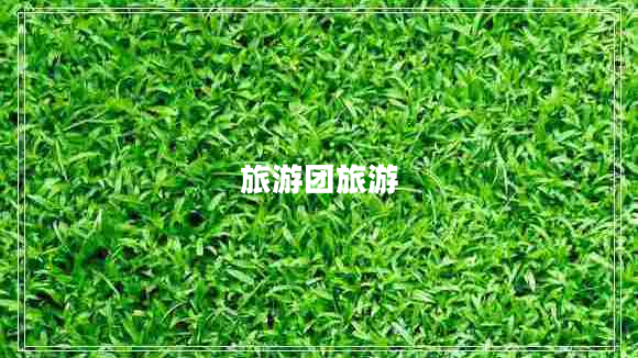 旅游團(tuán)旅游 旅游團(tuán)旅游