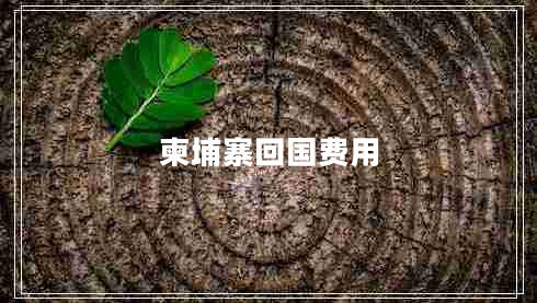 柬埔寨回國(guó)費(fèi)用 柬埔寨回國(guó)費(fèi)用