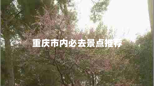 重慶市內(nèi)必去景點推薦 重慶市內(nèi)必去景點推薦
