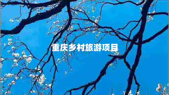 重慶鄉(xiāng)村旅游項(xiàng)目 重慶鄉(xiāng)村旅游項(xiàng)目