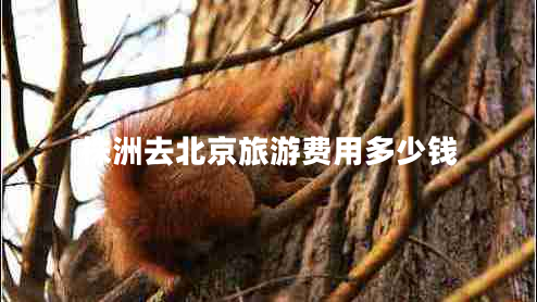 株洲去北京旅游費用多少錢 株洲去北京旅游費用多少錢