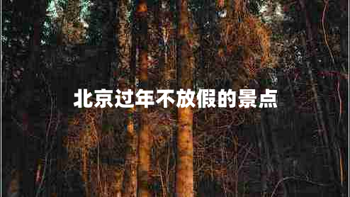 北京過年不放假的景點