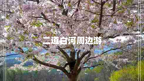 二道白河周邊游