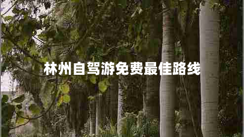 林州自駕游免費(fèi)最佳路線 林州自駕游免費(fèi)最佳路線