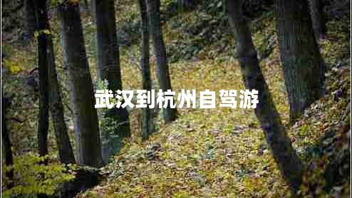 武漢到杭州自駕游 武漢到杭州自駕游