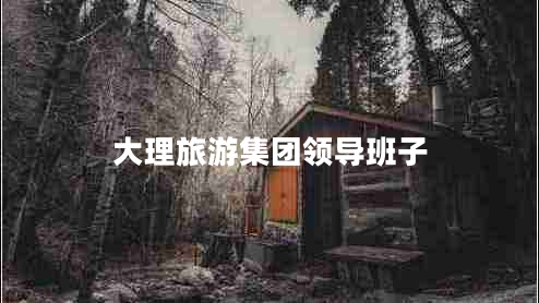 大理旅游集團(tuán)領(lǐng)導(dǎo)班子