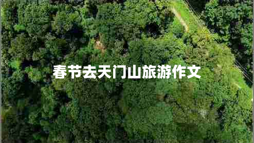 春節(jié)去天門山旅游作文