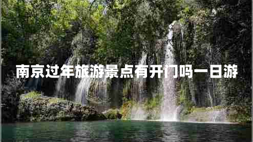 南京過(guò)年旅游景點(diǎn)有開(kāi)門(mén)嗎一日游 南京過(guò)年旅游景點(diǎn)有開(kāi)門(mén)嗎一日游
