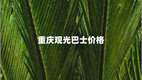 重慶觀光巴士價格 重慶觀光巴士價格